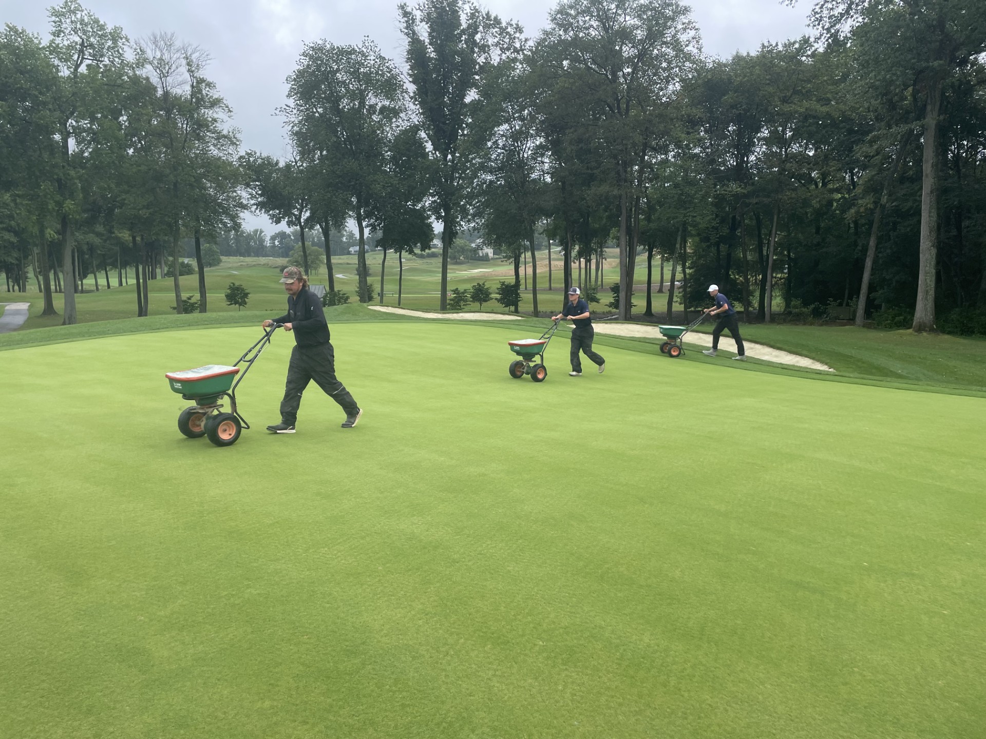 Fertilizing greens